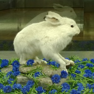 Helsinki Vantaa Helsinki Vantaa