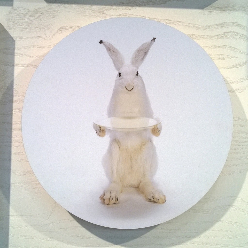 Vapisten ja kunnioittaen magneettitaulu Vapisten ja kunnioittaen magneettitaulu