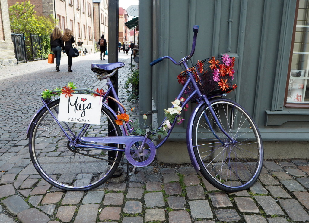 Haga Nygatan