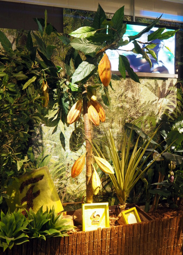 Fazerila kaakaopapupuu Fazerila kaakaopapupuu