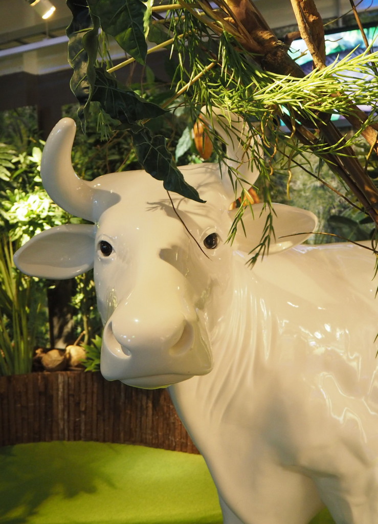 Fazerilan lehmä - suklaaseen tarvitaan maitoa! Fazerilan lehmä - suklaaseen tarvitaan maitoa!