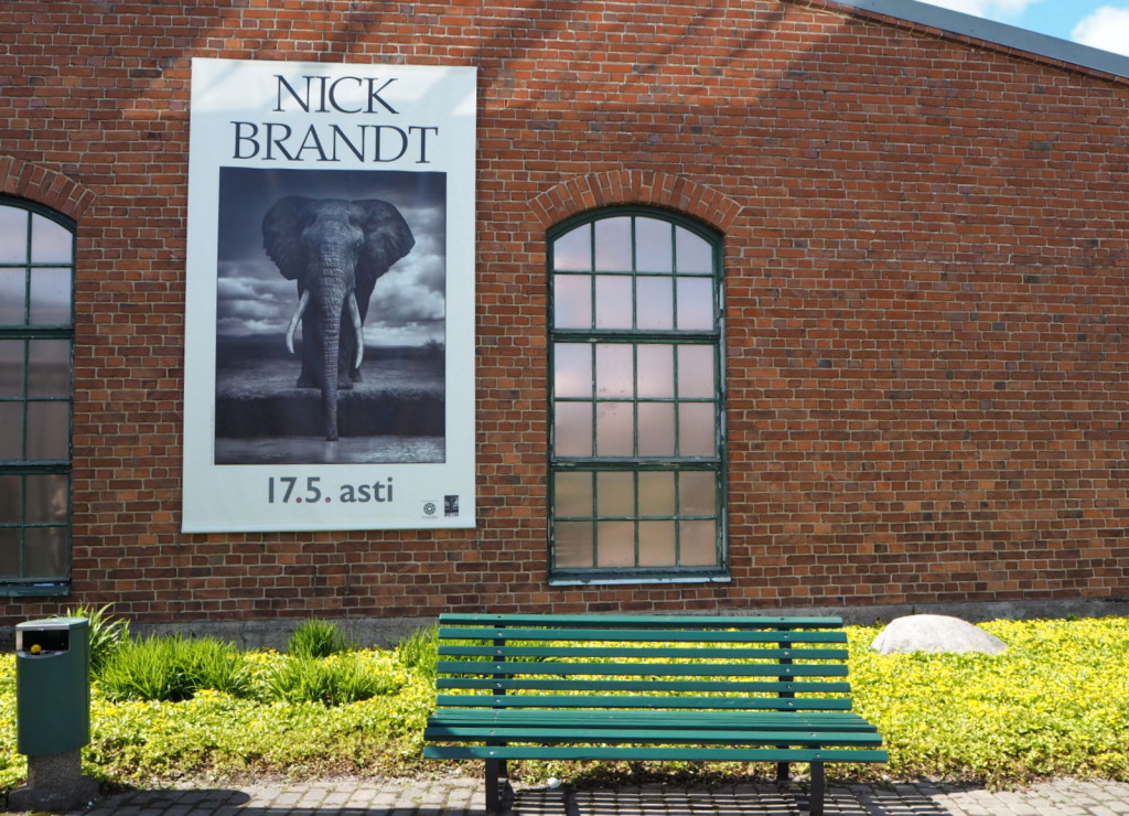 Nick Brandt Salon taidemuseo