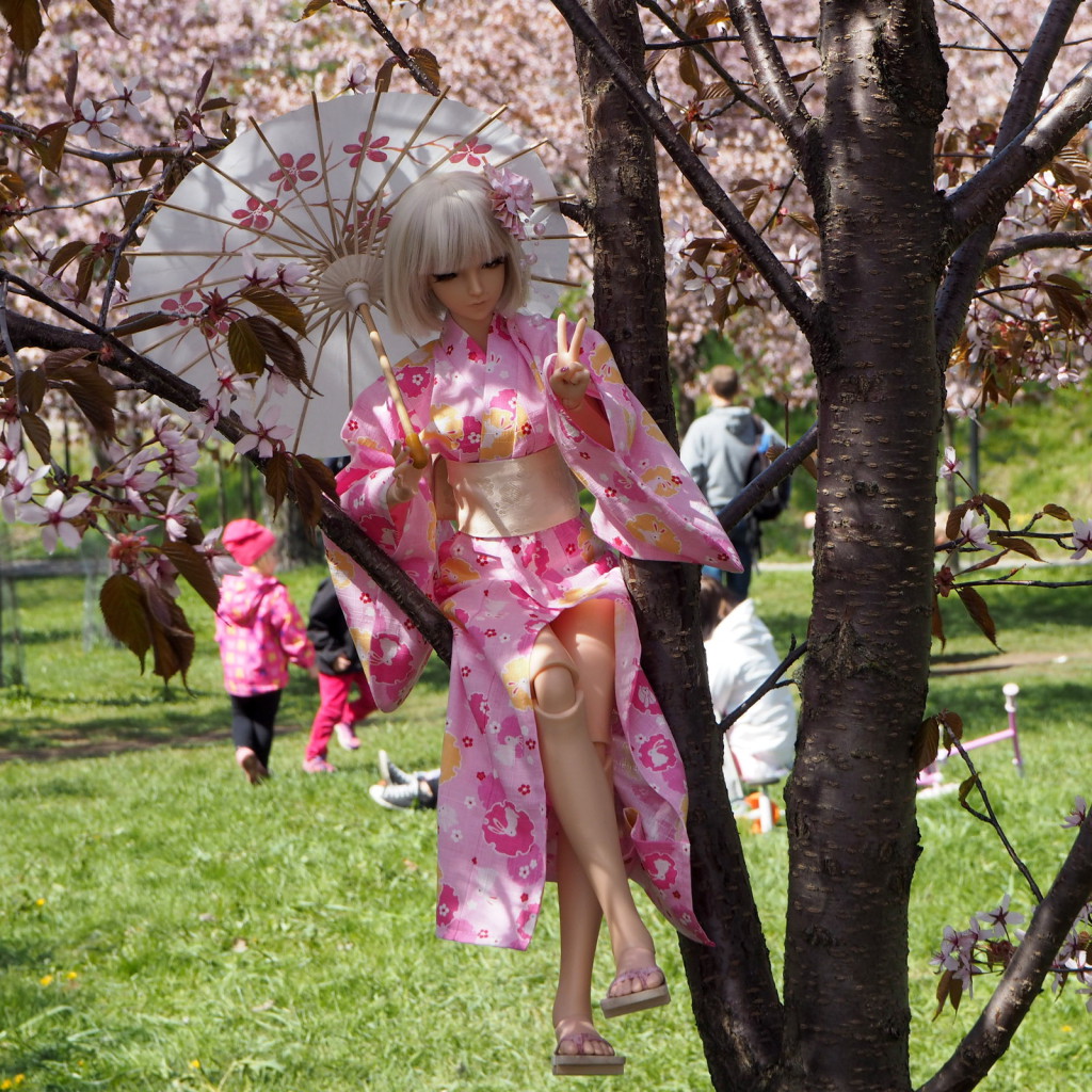 Roihuvuoren kirsikkapuisto