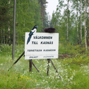 Kasnäs