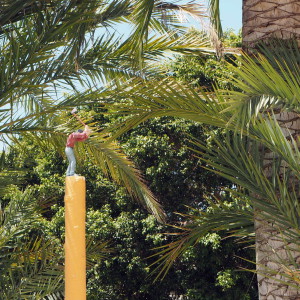 Miróa Palma de Mallorca Miróa Palma de Mallorca