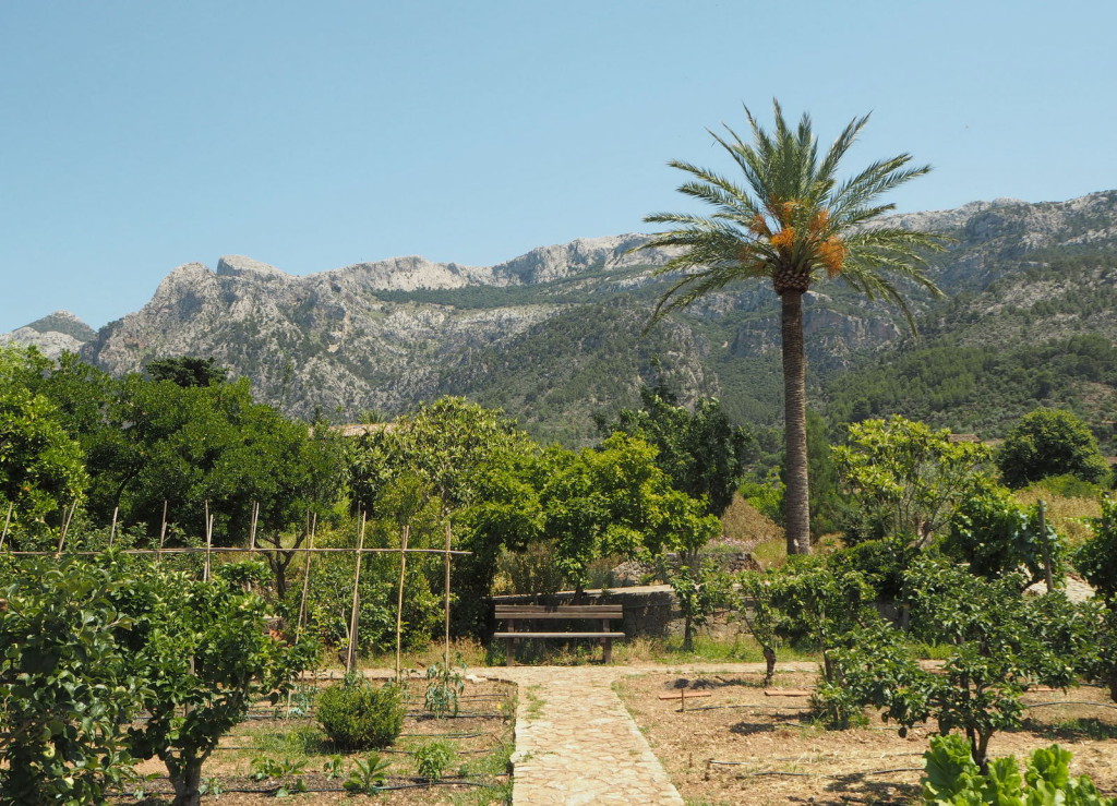 Jardin Botanique Sóller
