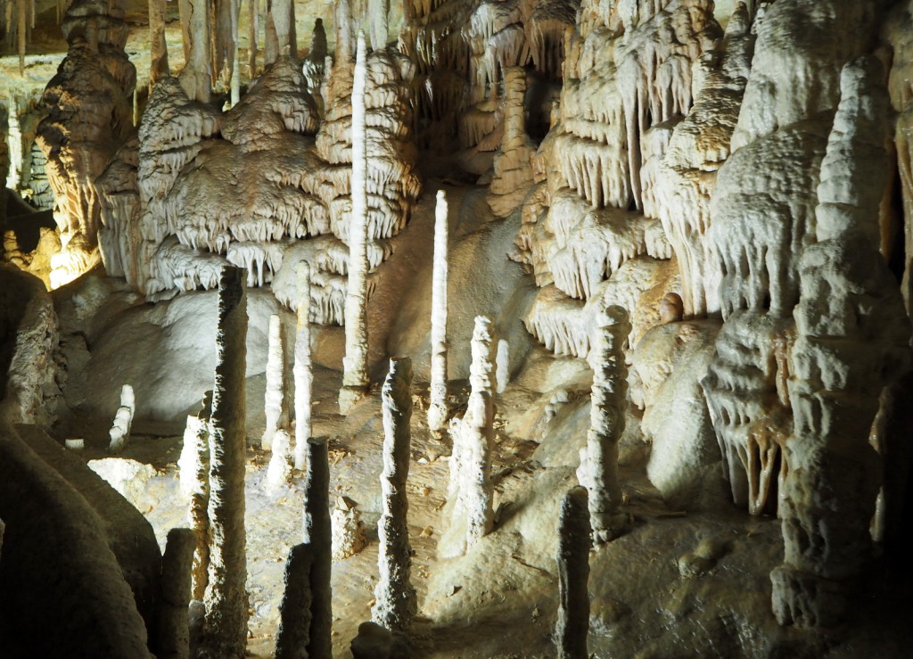 Campanet Coves tippukiviluola