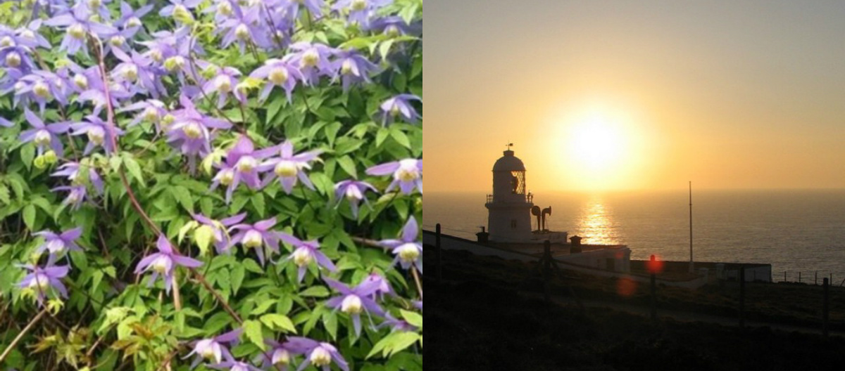 Iirislahti ja Pendeen