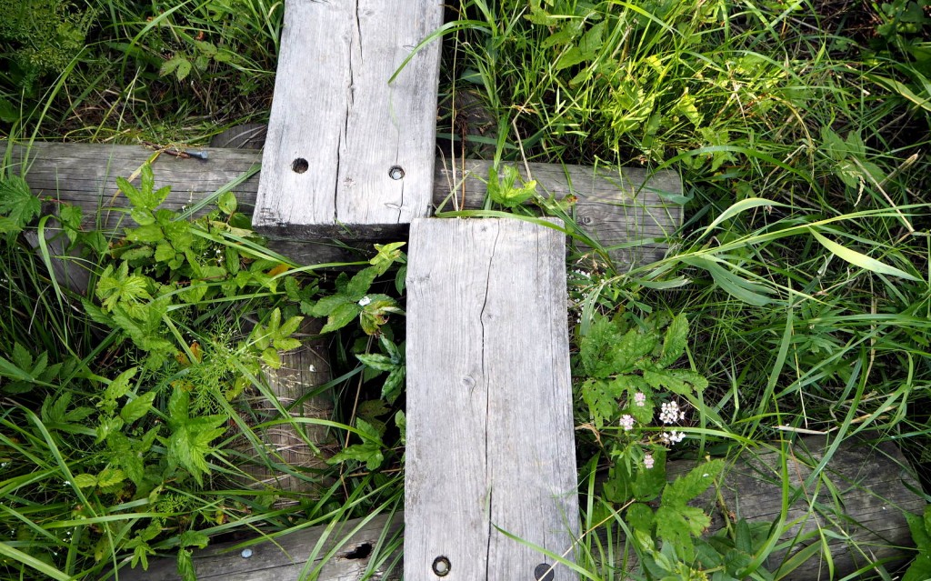 Laajalahti Espoo pitkospuut