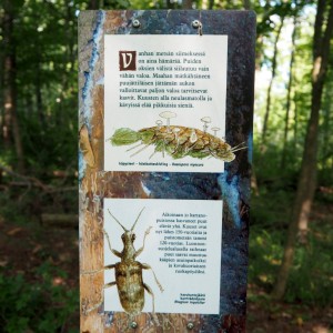 Laajalahti Espoo Villa Elfvik