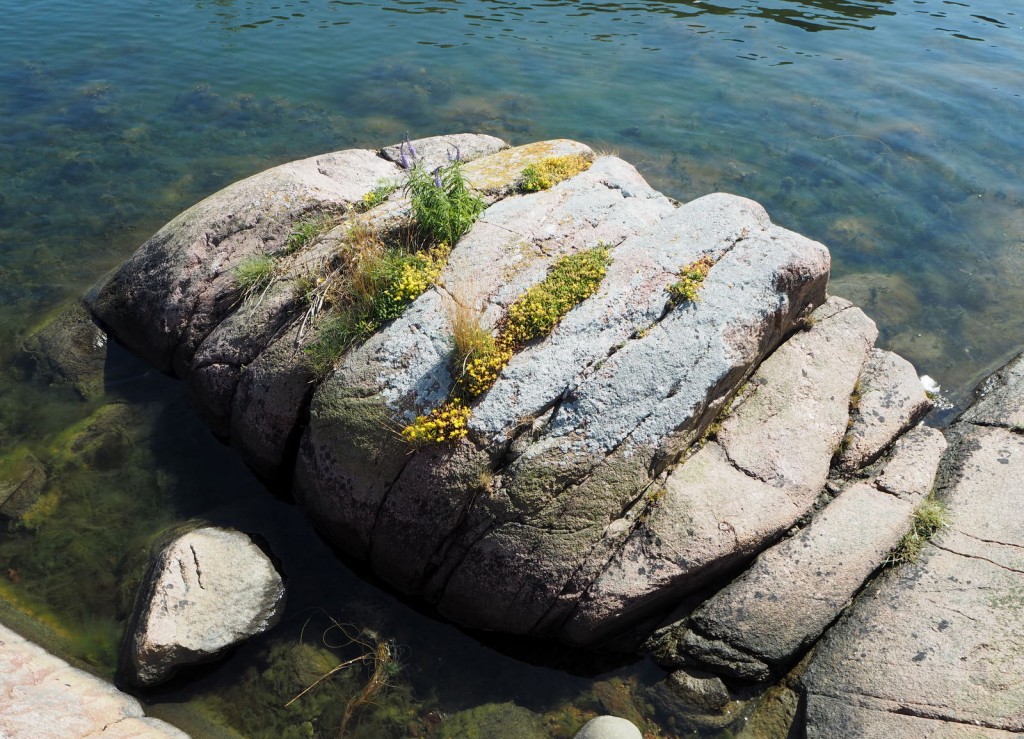 Hauensuoli Hauensuoli