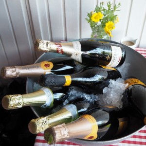 As Oy Iirislahti 30 v