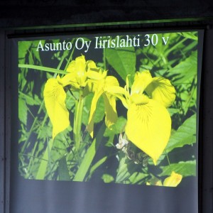 As Oy Iirislahti 30 v