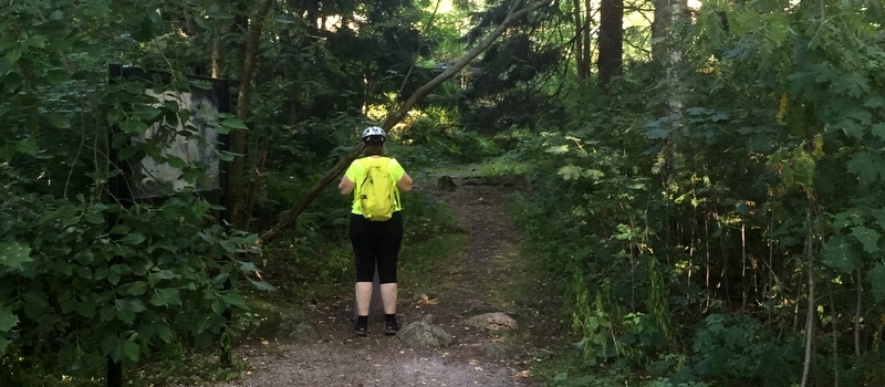 Aurinkokuntaa kuvaamassa