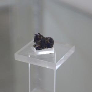 Kansallismuseo lapiseläin