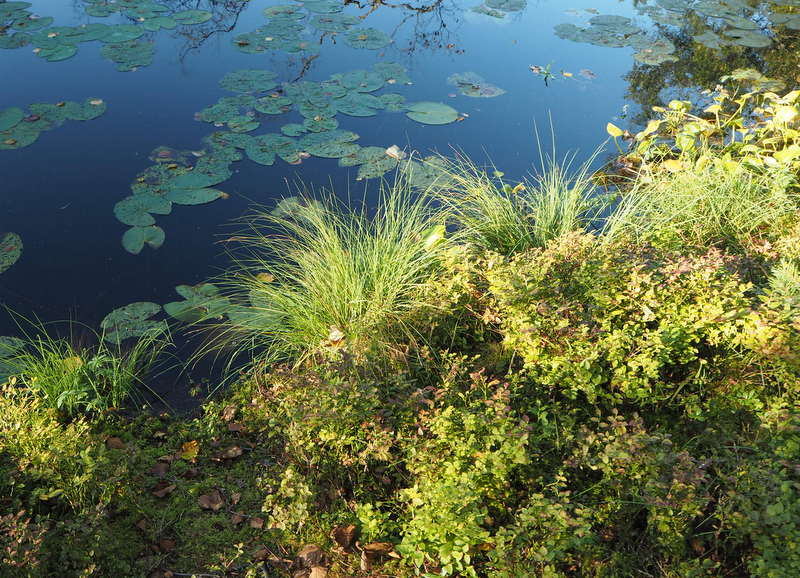 Kruunuvuori Kruunuvuori