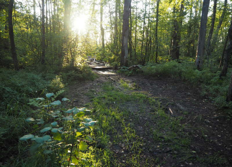 Kruunuvuori graffiteja