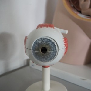 Luonnontiedeluokka TSYK 2015