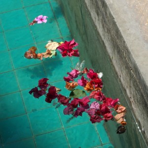 Sa'din hautamauseleumi Shiraz Persia