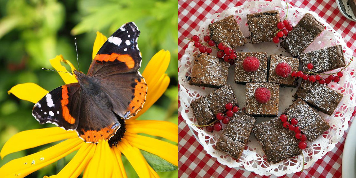 Elosyyskuun suosituimmat 1