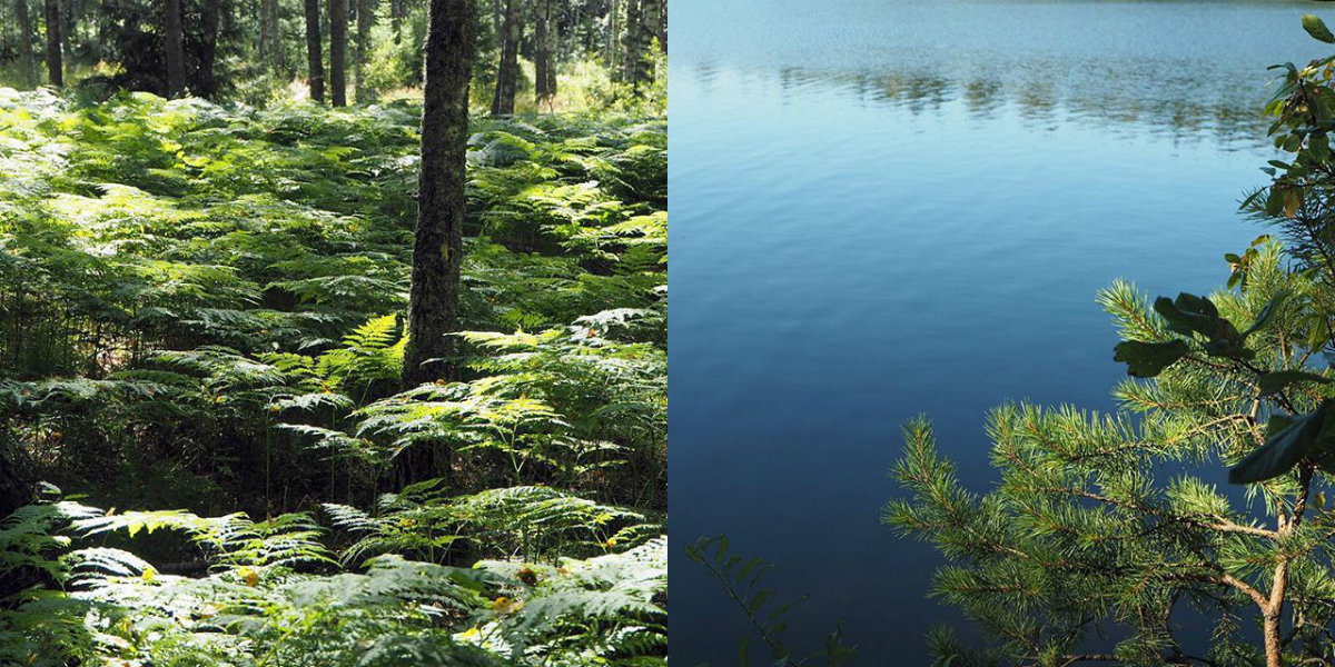 Elosyyskuun suosituimmat 1 Elosyyskuun suosituimmat 1