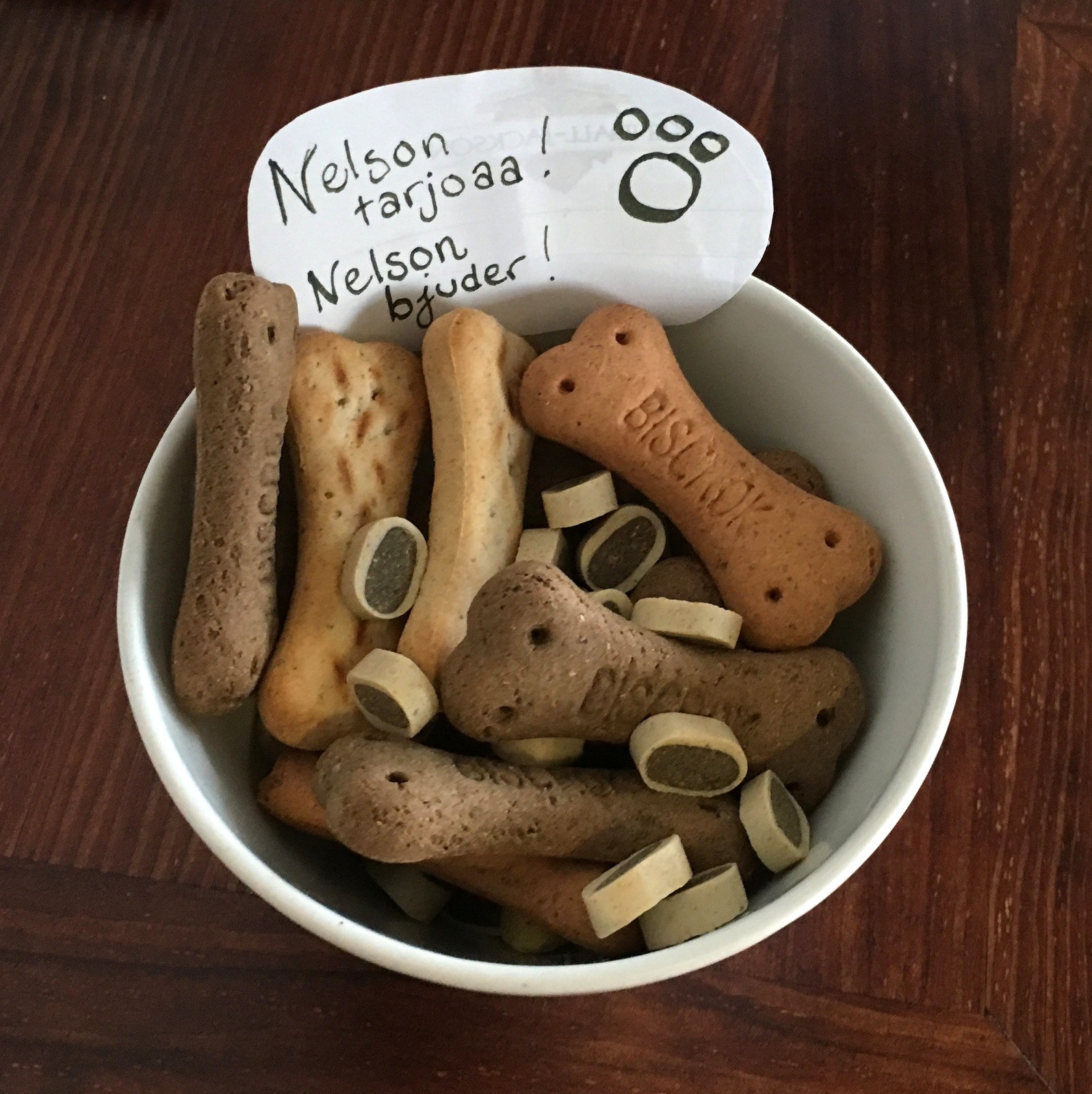 Cafe Regatta huomioi koirat