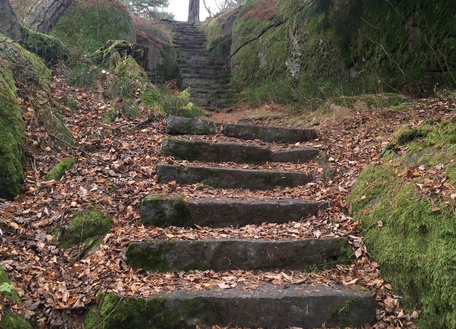 Rakkauden polku portaat Hanko 2015