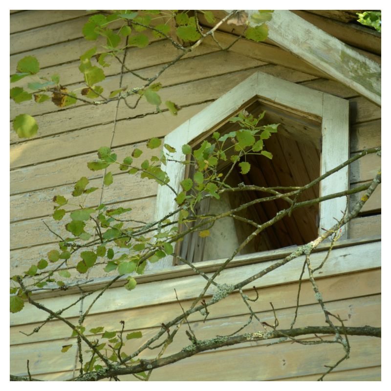 Kruunuvuori Life and white balance