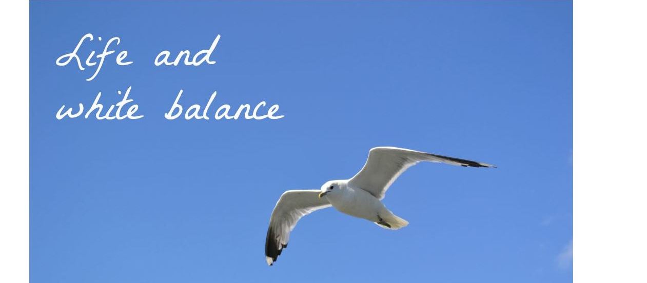 Life and white balance