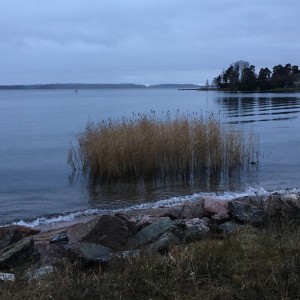 Haukilahden ranta