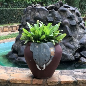 Norsu ja puhelin Kigali