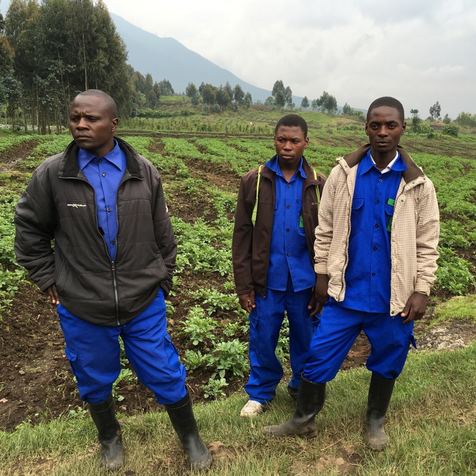 Rwanda mountain gorillas porters