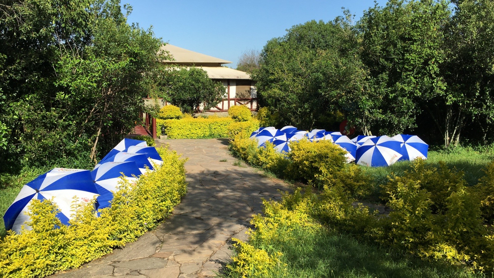 Ashnil Masai Mara Ashnil Masai Mara