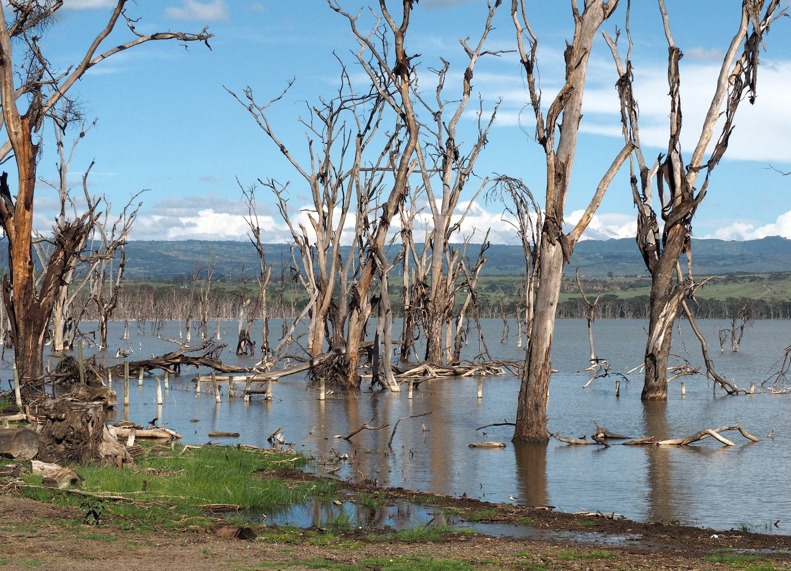 Lake Nakuru Kenia Lake Nakuru Kenia