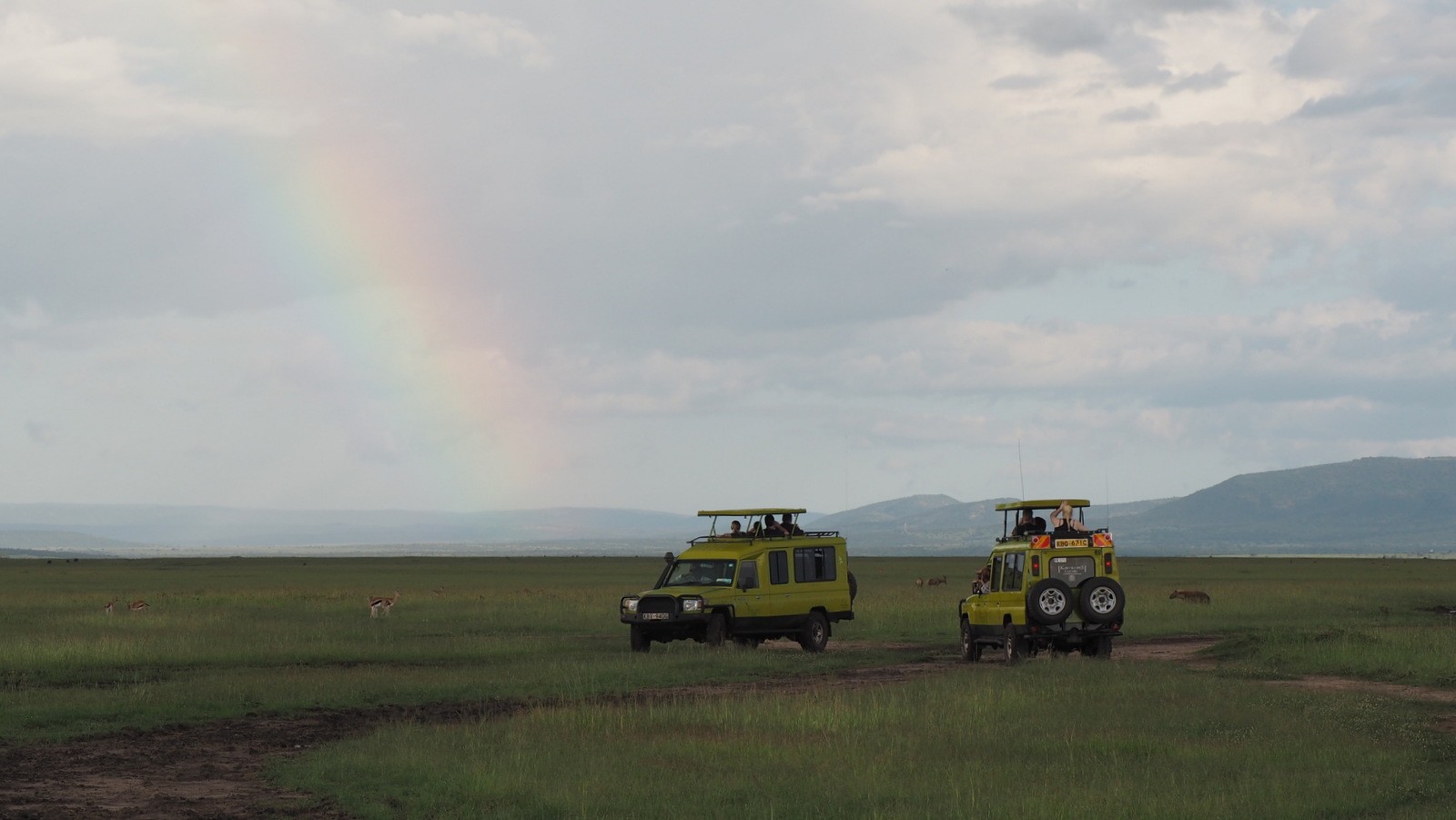Masai Mara, Kenia Masai Mara, Kenia