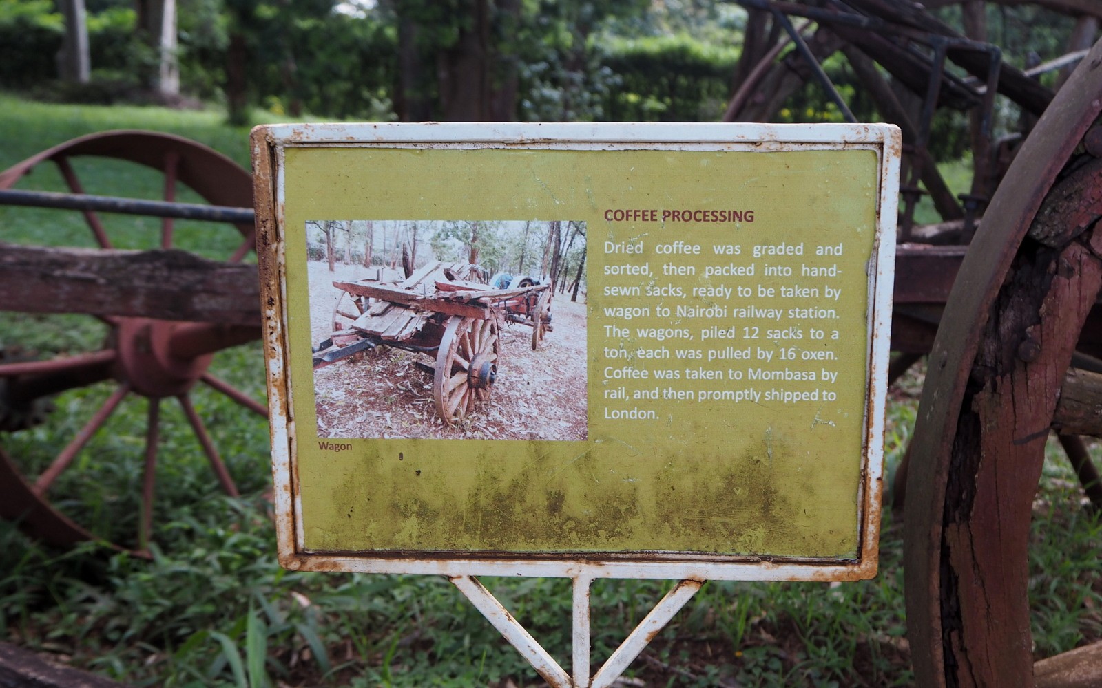 Karen Blixen Nairobi