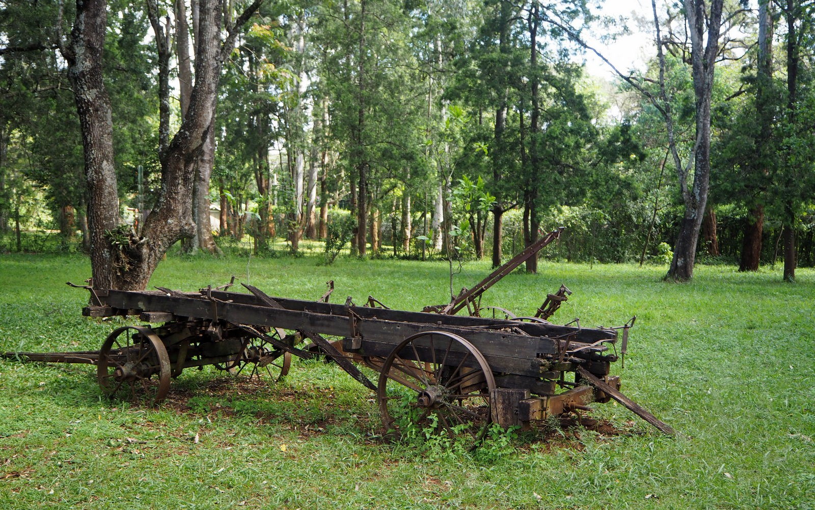 Karen Blixen Nairobi