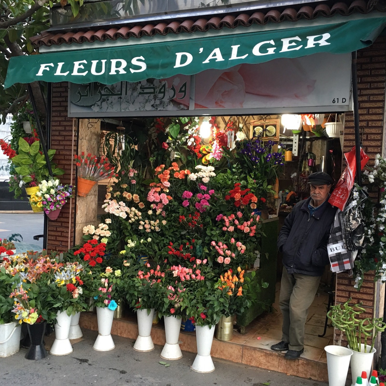 Fleurs Algiers