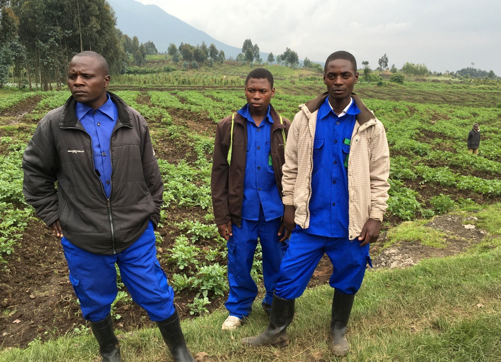 Ruanda kantajat gorillavuorelle