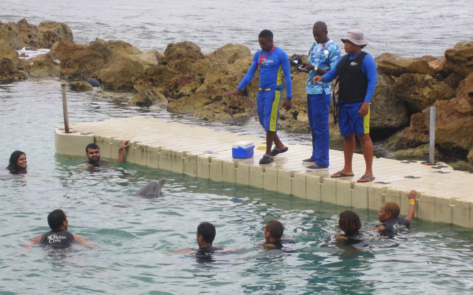 Jamaika Dolphin Cove