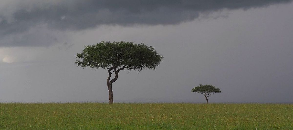 Masai Mara maisemat feature