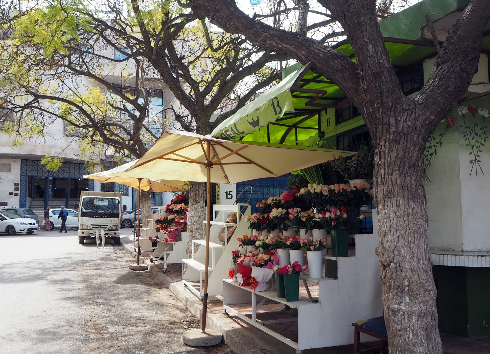 Oran kukkatori Oran kukkatori