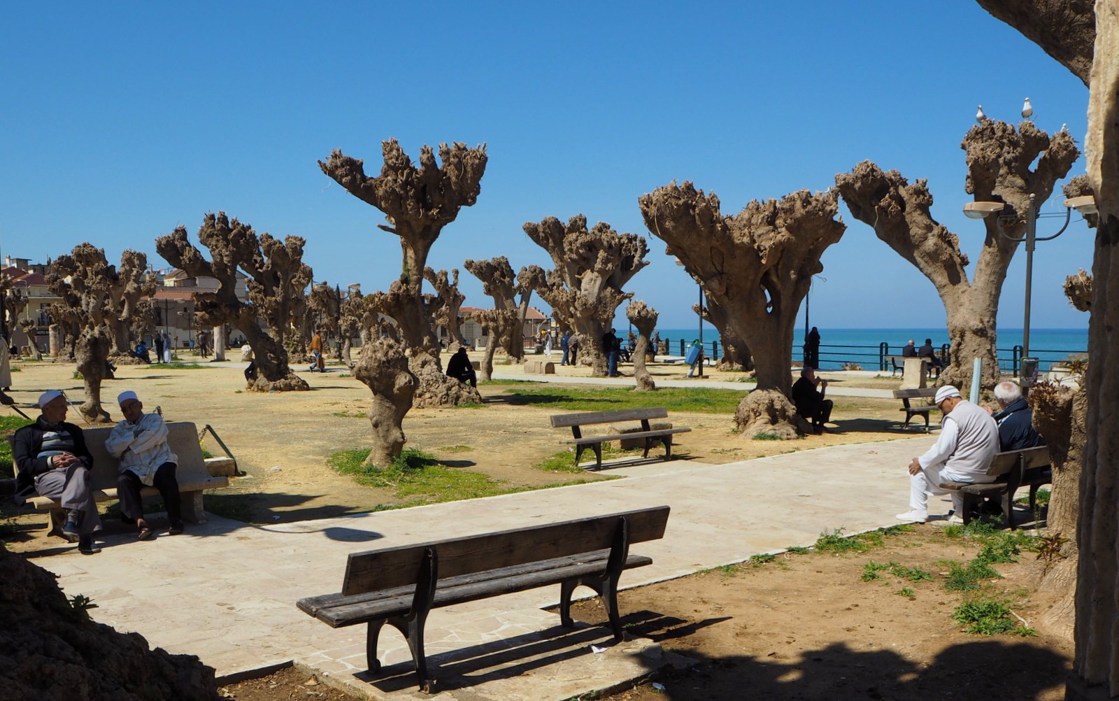 Kleopatran mausoleumi Algeria