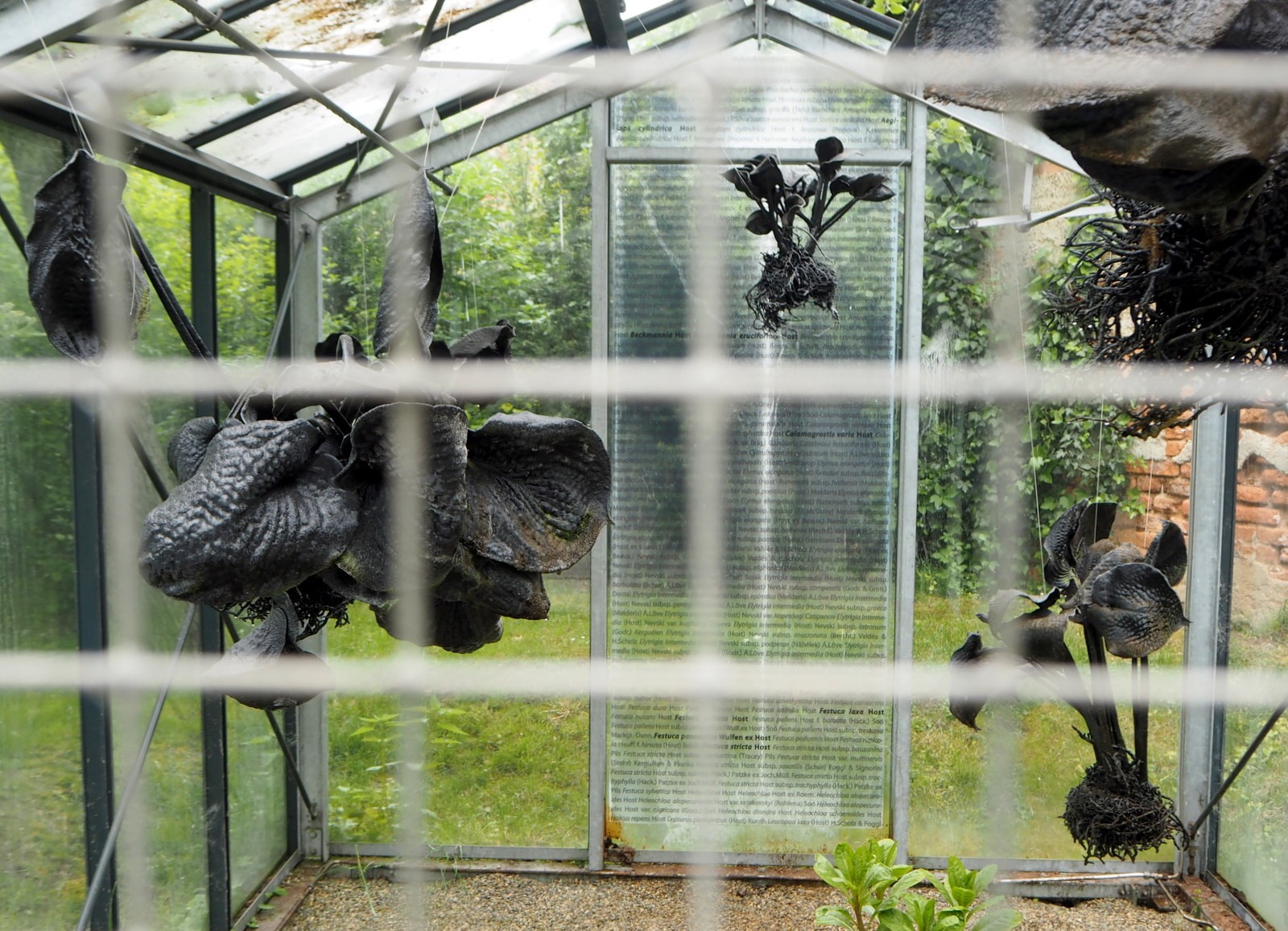 Belvedere Botanic Garden