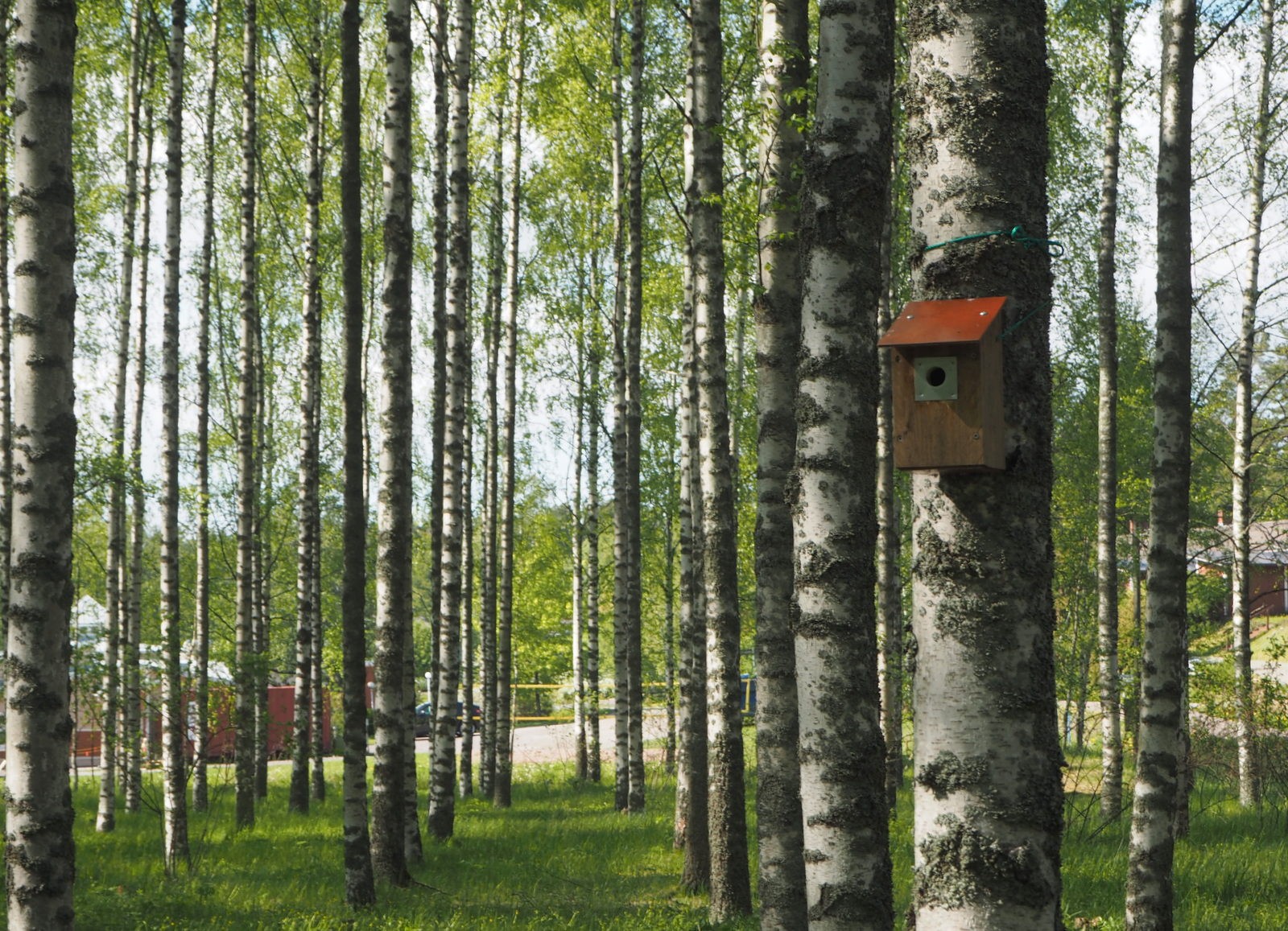 Teersalo Velkua Teersalo Velkua