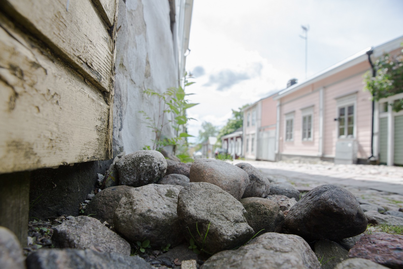 Kuvakulma, katu - Annika Segerstråle-Lötjönen