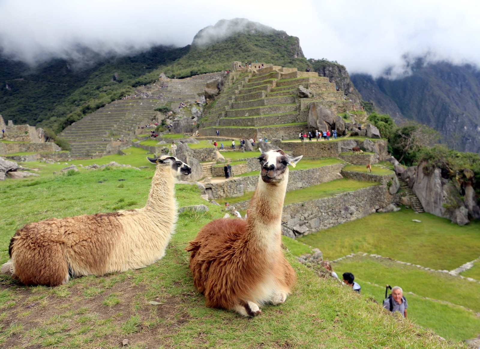 Machu Picchu Peru