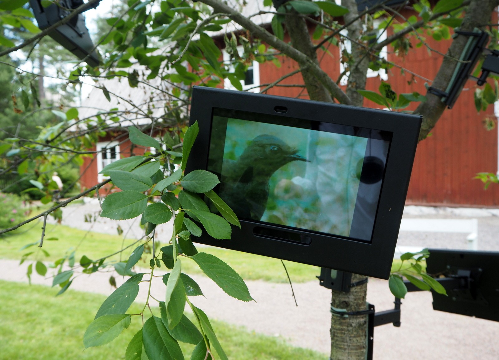 Mimesis as Resistance