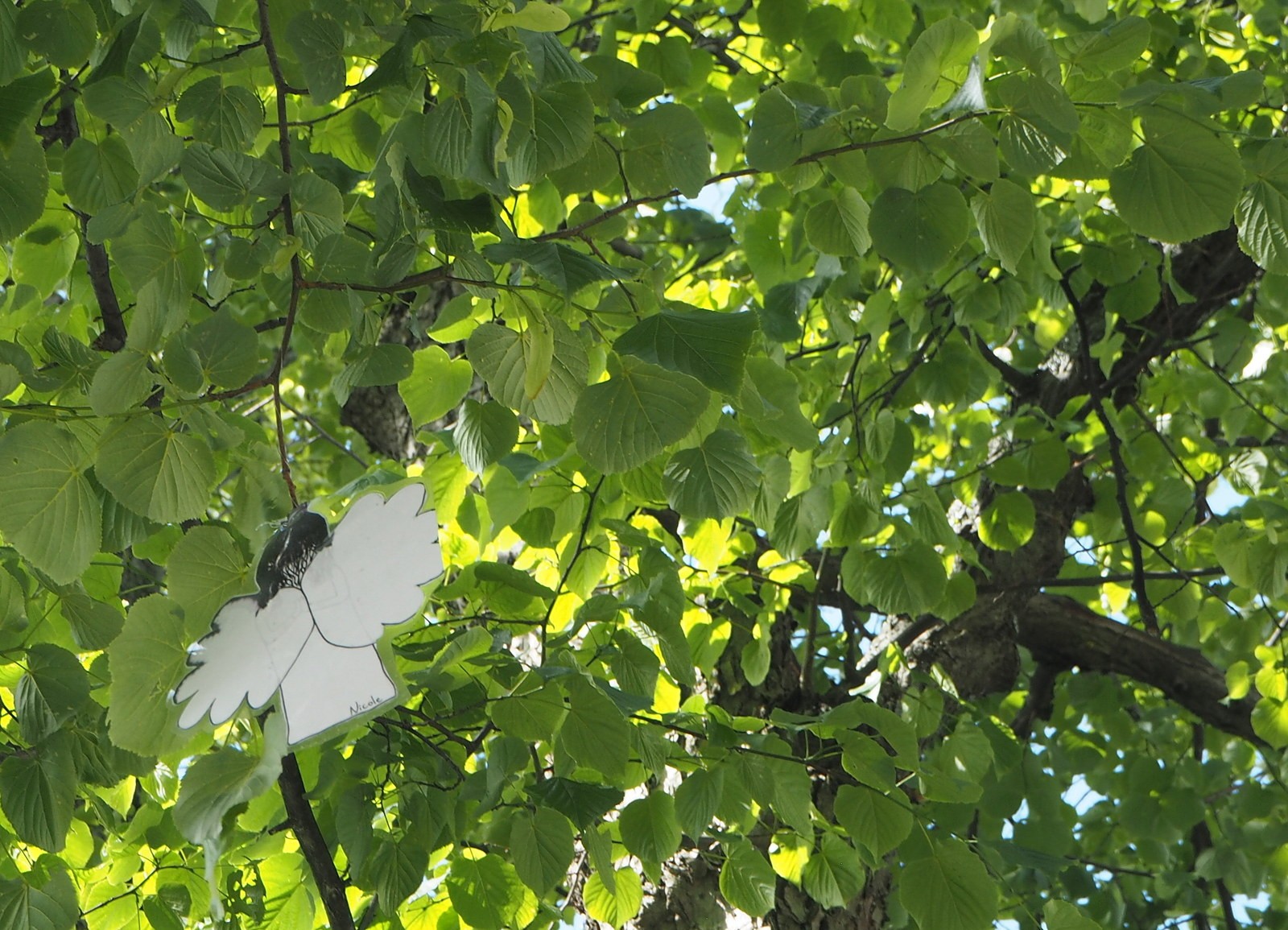 Enkeli Porvoon kirkolla