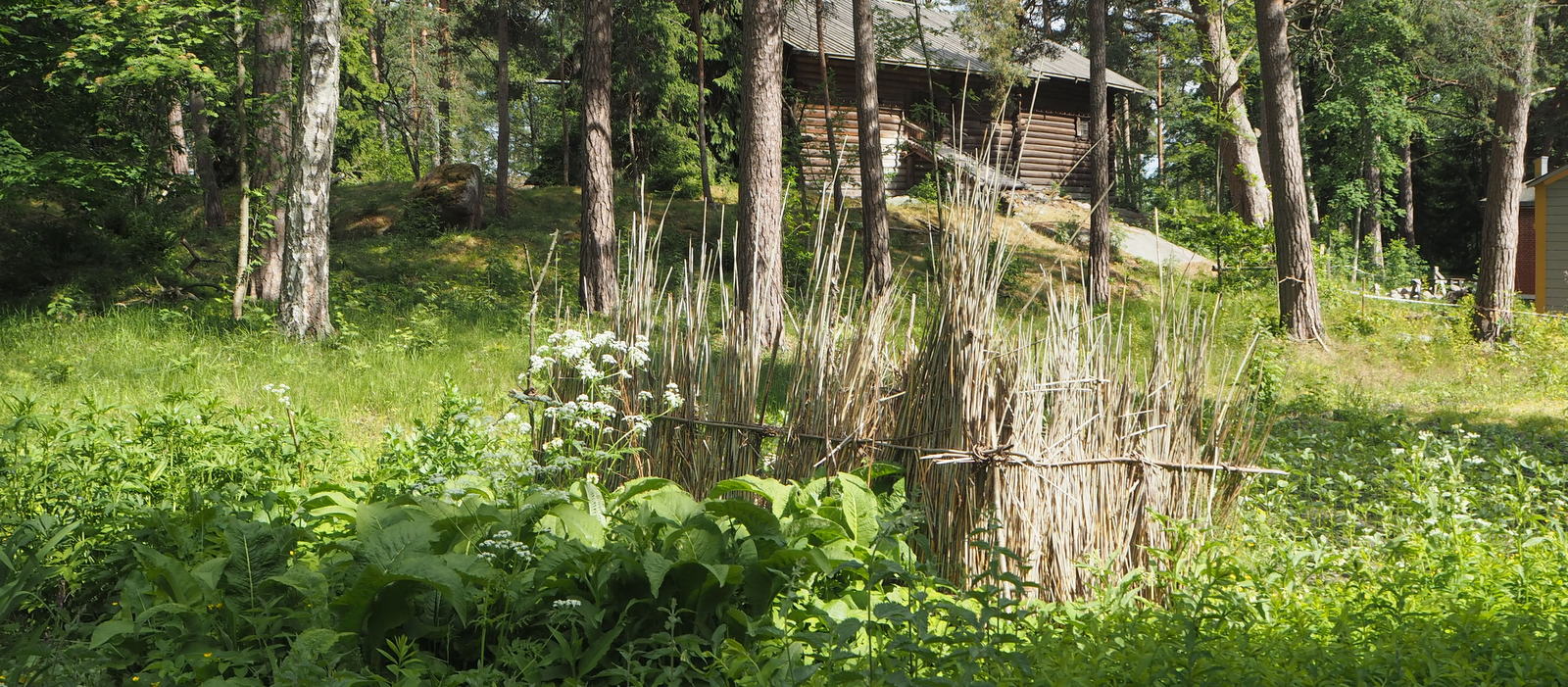 Seurasaari feature